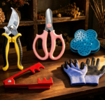 Essential Floral Tool Set With Rose Thorn Stripper And Pruning Shears